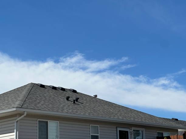 Best Asphalt Shingle Roofing  in Oconto, WI